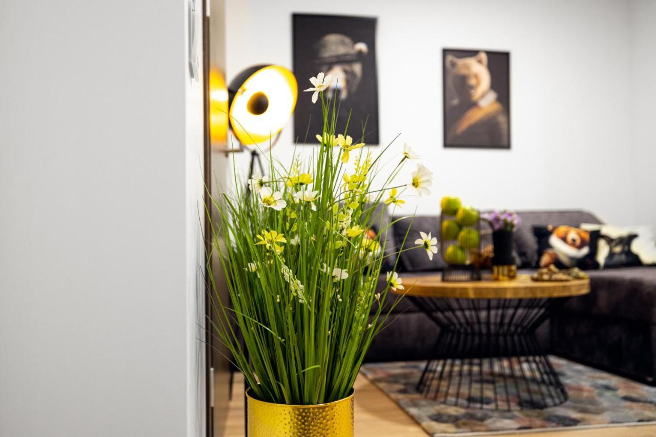 Ziedu Apartamentai Daire Klaipėda Dış mekan fotoğraf